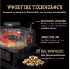 Ninja OG701UK Woodfire Electric BBQ Grill & Smoker