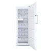 Blomberg FNT9673P 60cm Frost Free Tall Freezer - White - F Rated